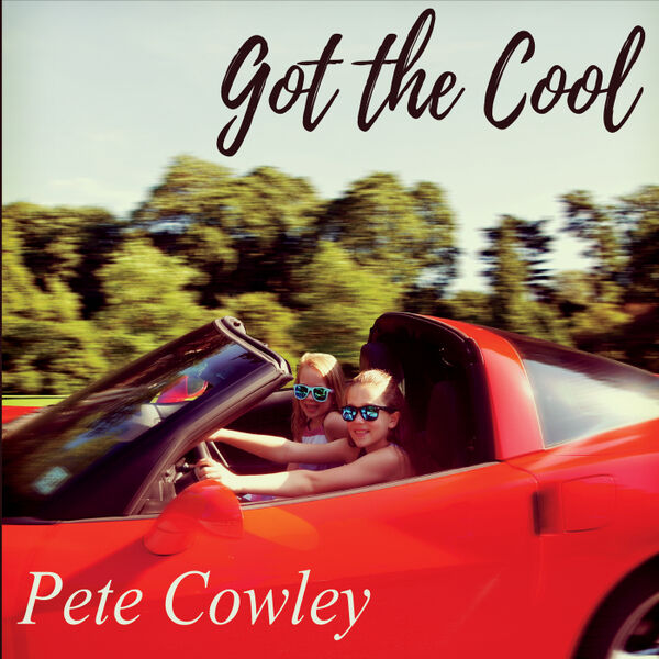 Cover art for Got the Cool